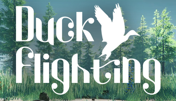 Duck Flight Simulator